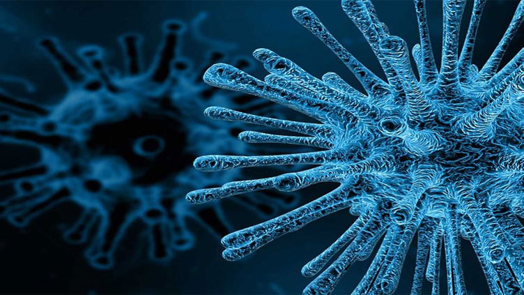 Poliovirus found in Karachi environmental sample