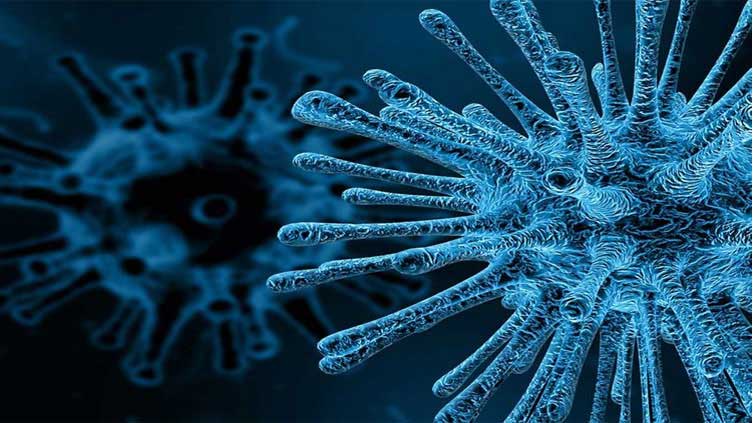 Poliovirus detected in Peshawar, Pishin sewage samples