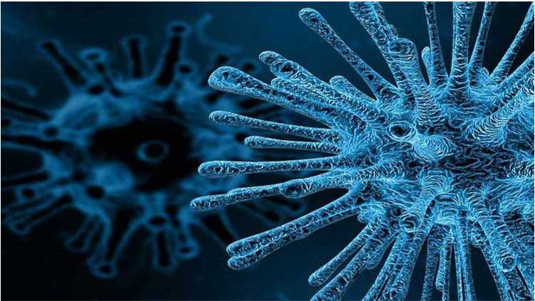 Poliovirus detected in two environmental samples taken from Quetta, Karachi