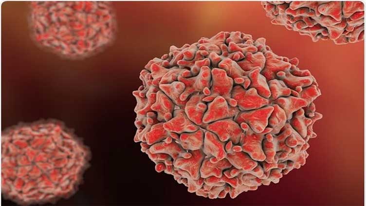 Poliovirus found in 14 environmental samples: ministry
