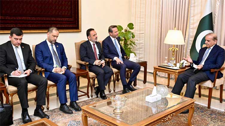 Pakistan, Turkiye agree to enhance cooperation in energy sector