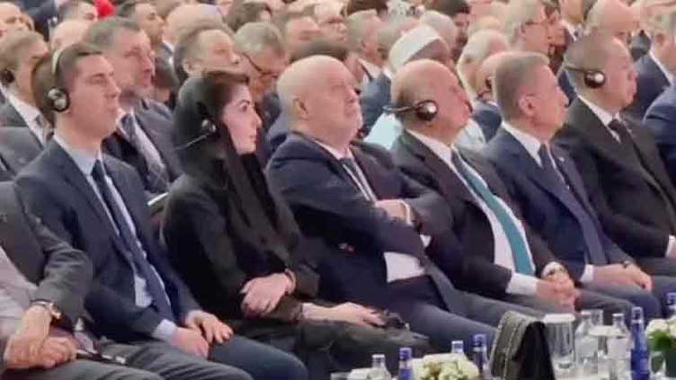 Punjab CM attends Diplomacy Forum 2025 in Turkiye 