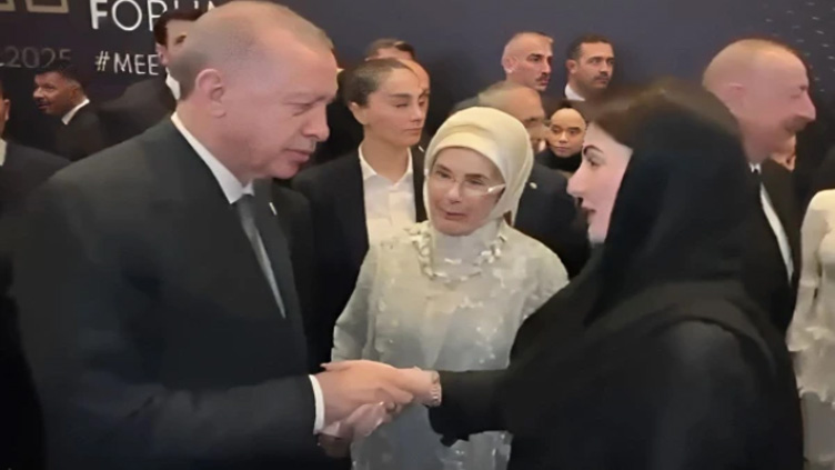 Maryam Nawaz meets Turkish President Erdogan in Antalya