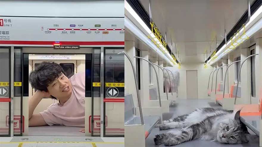 Chinese YouTuber builds metro subway for his cats
