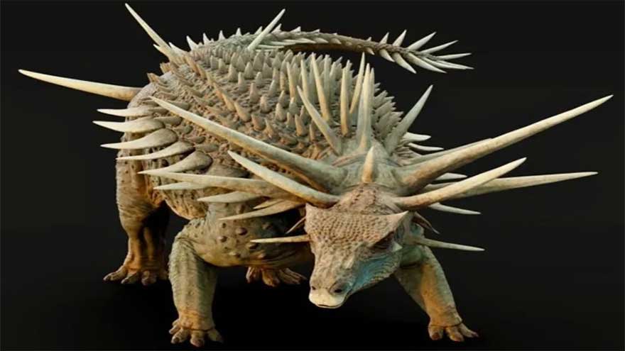 Dinosaur with metre-long spikes discovered in Morocco