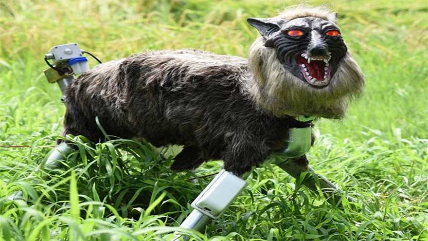 Japan deploys robot wolves with red glowing eyes to scare away bears