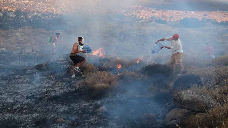 Firefighters report progress in taming Turkiye wildfires