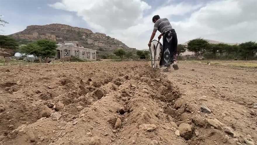 Yemen's rural communities struggle as drought deepens