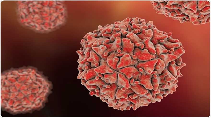 Poliovirus found in Mirpur AJK sewerage system