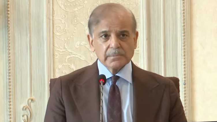 PM Shehbaz says concerted efforts pave the way for IMF loan, $1.3bn climate fund