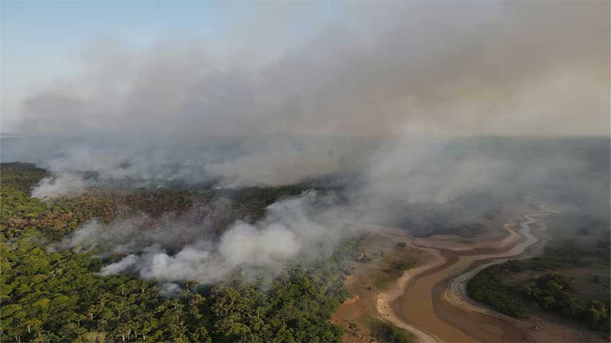 COP30: The latest in climate science, from faster warming to coral collapse