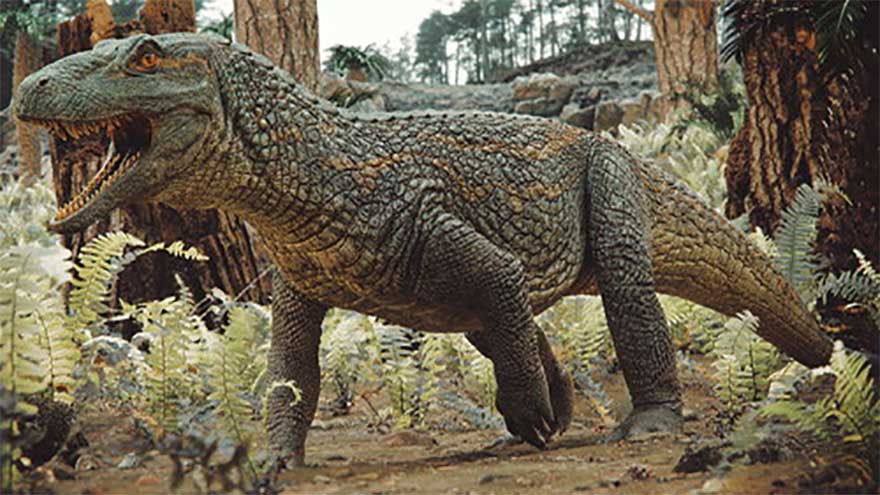 Ancient 'crocodile warrior' lived before dinosaurs with brutal killing technique