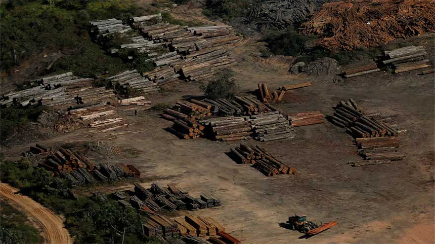What the COP30 climate summit in the Amazon delivered for forests and Indigenous people