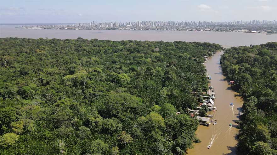 Scientists run climate 'time machine' in Amazon as Brazil preps for COP30