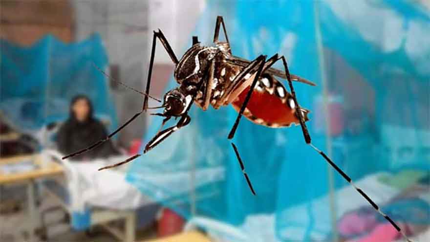 Dengue cases begin to emerge across Punjab with 16 reported so far