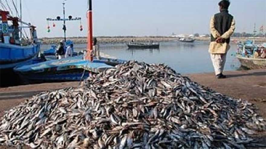 Construction of floating jetty at Karachi harbor begins to boost seafood exports