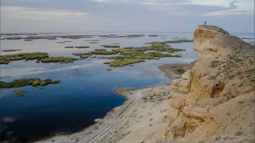 New desert ecosystem emerges on dried seabed of 'Aral Sea'