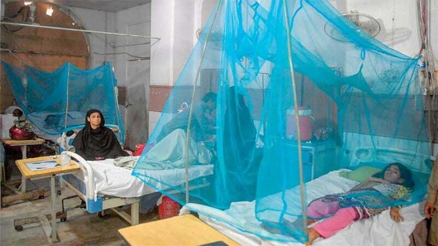 WHO warns Pakistan at risk of malaria resurgence despite drop in cases
