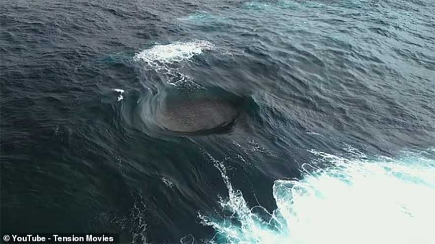 'World's craziest wave' leaves surfers in Australia baffled