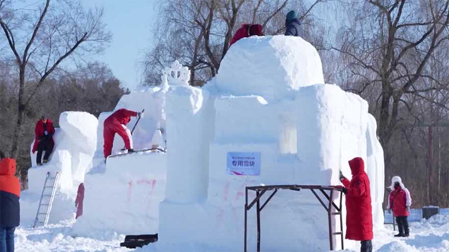 Octopus, Taj Mahal concepts inspire sculptors at China snow festival