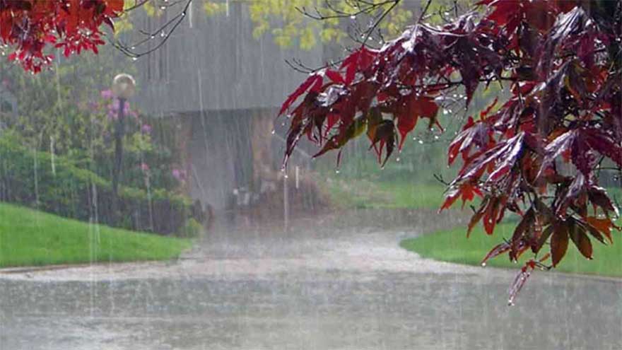 Early morning rain in Lahore adds to chill; PMD forecasts more showers across Punjab