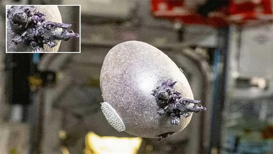 'Alien egg' on ISS freaks out space fans who say 'kill it with fire'