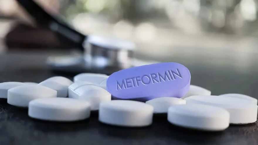 Metformin's hidden brain pathway uncovered after 60 years