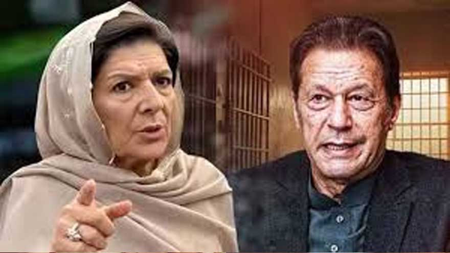 Aleema Khan urges pressure for Imran Khan treatment, release