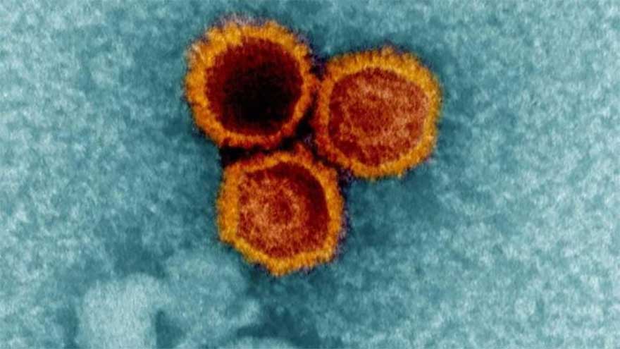 Scientists develop new antibody for virus that infects 95pc of people