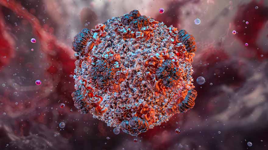 WHO warns of more hantavirus cases in 'limited' outbreak